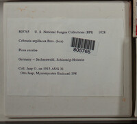 Image Associated With the Occurence